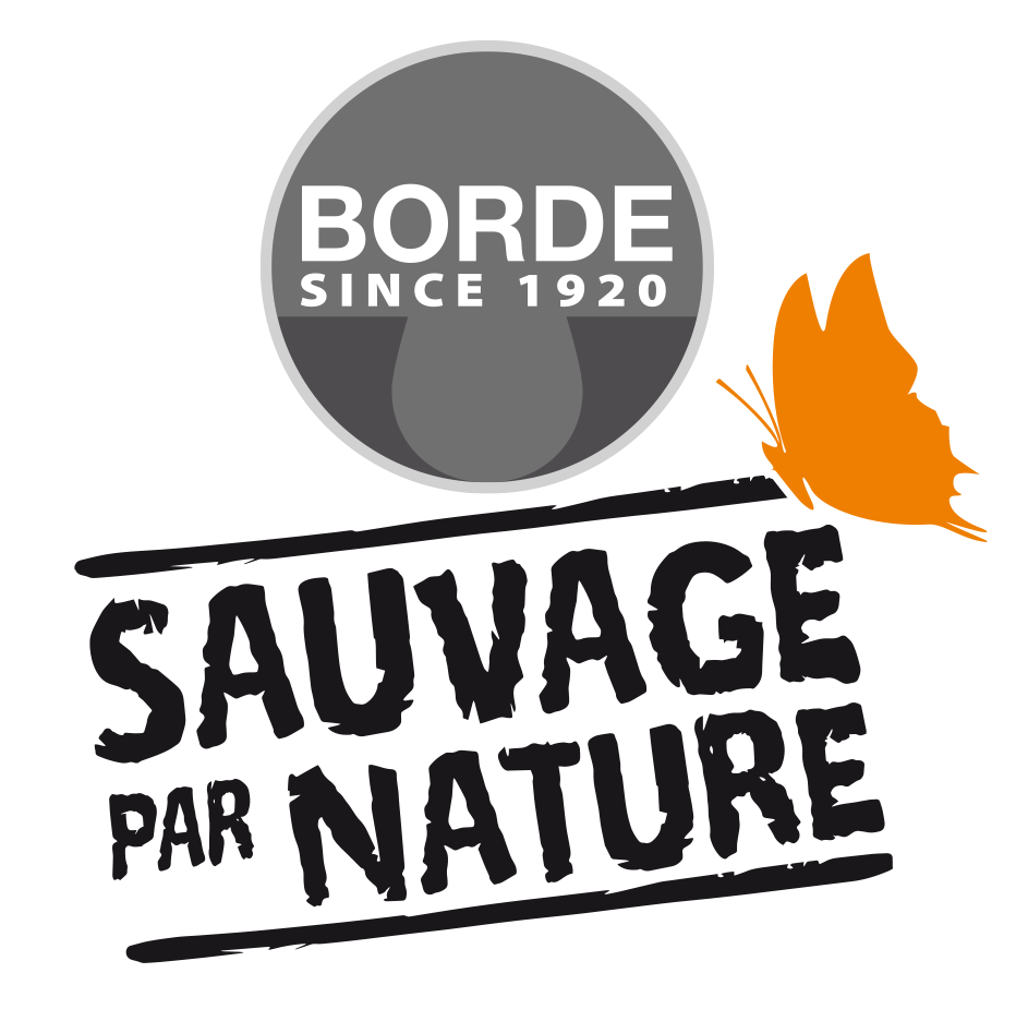 logo borde
